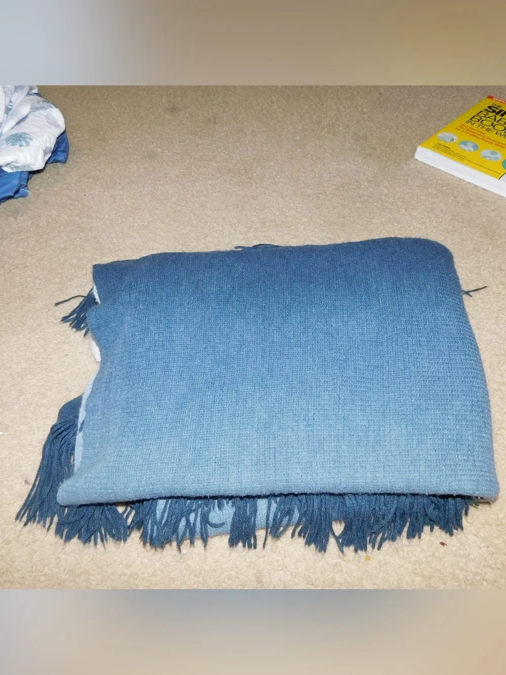 Ombre Blue Fringe Throw Blanket